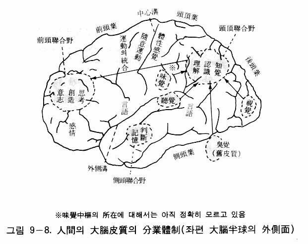 図