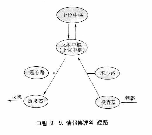 図