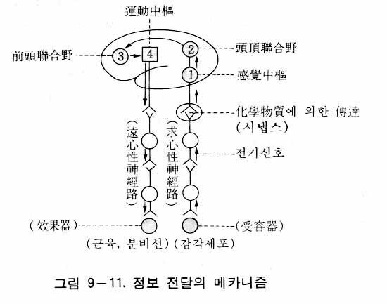 図